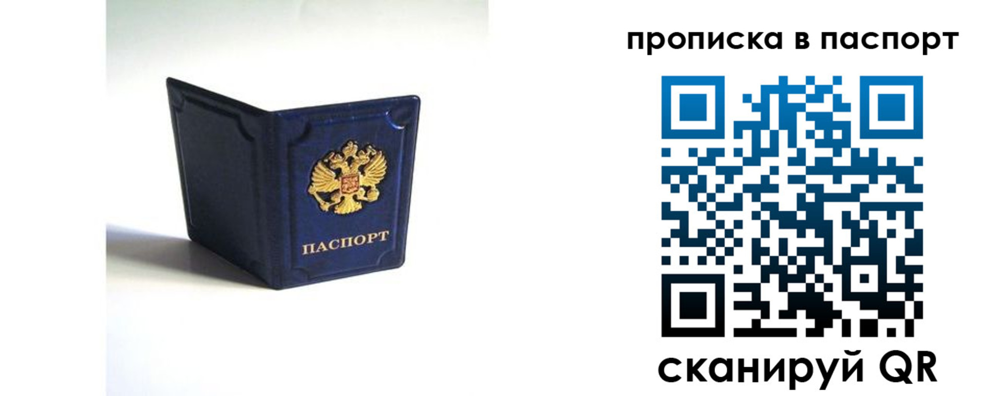 временная регистрация гарантия в Брянской области